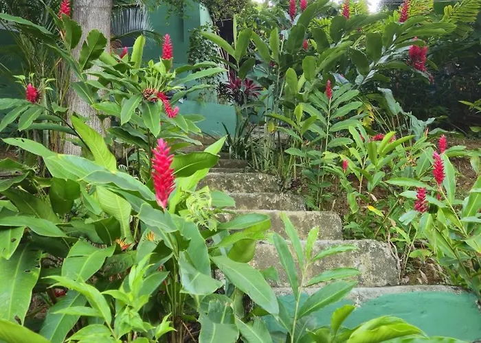 Lahselva Pousada E Hostel Itacaré